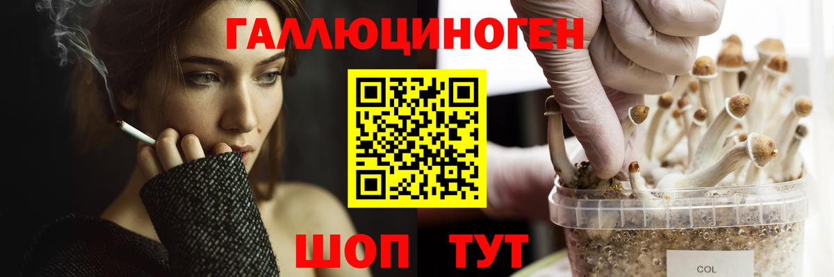 Балашов  даркнет сайт  Вход с VPN  Галлюциногенные грибы MAGIC MUSHROOMS  Галлюциногенные грибы Magic Shrooms 